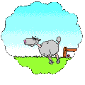 mouton sautillant